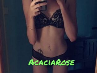 AcaciaRose
