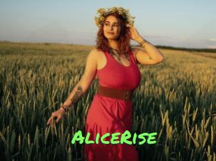 AliceRise