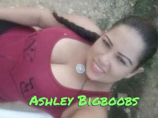 Ashley_Bigboobs