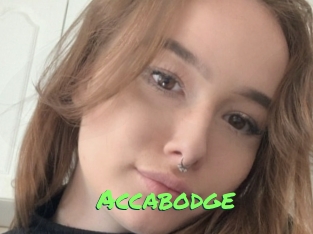 Accabodge