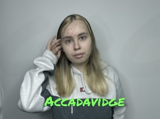 Accadavidge