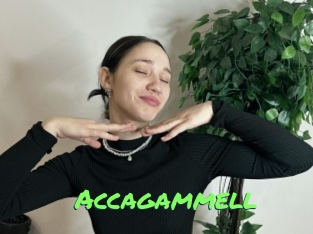 Accagammell