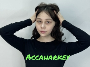 Accaharkey