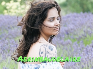 Aerinbaudelaire