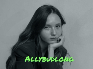 Allybudlong