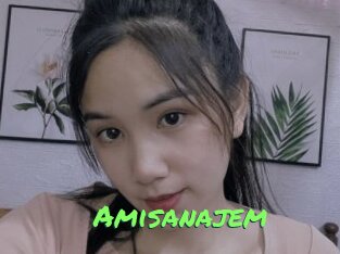 Amisanajem