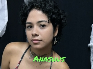 Anashus