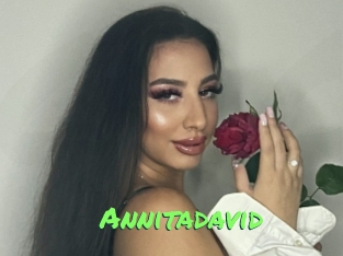 Annitadavid