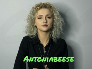 Antoniabeese