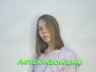 Antoniabowring