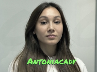 Antoniacady