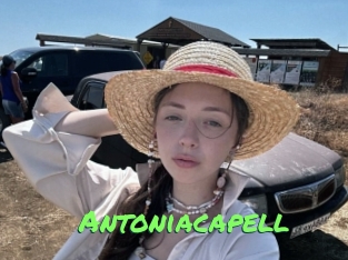 Antoniacapell