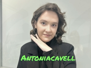 Antoniacavell