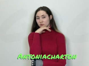 Antoniacharton