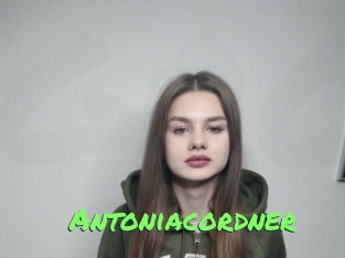 Antoniacordner