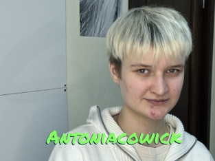 Antoniacowick