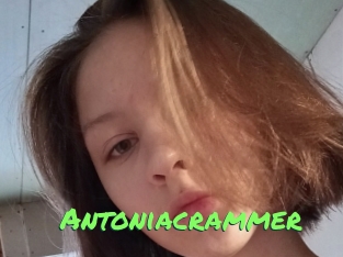 Antoniacrammer