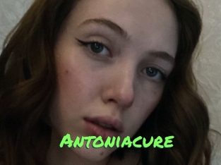 Antoniacure