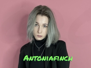 Antoniafinch