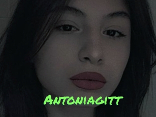 Antoniagitt