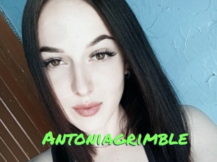 Antoniagrimble