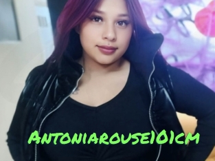 Antoniarouse101cm