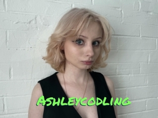 Ashleycodling