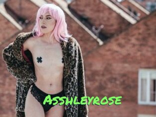 Asshleyrose