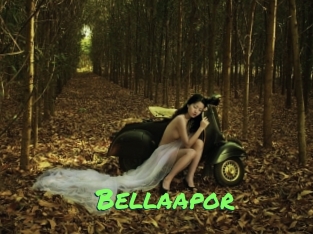 Bellaapor