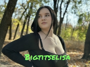 Bigtitselisa