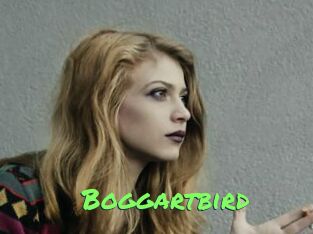 Boggartbird