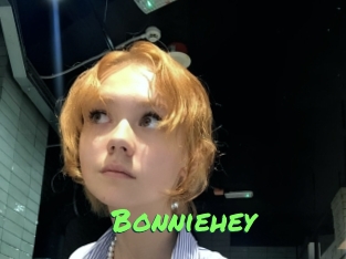 bonniehey Gros Seins