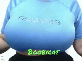 Boobycat