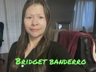 Bridget_banderro