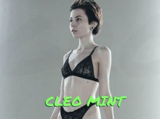 CLEO_MINT