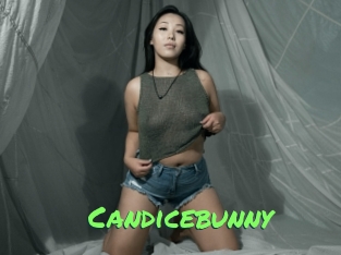 Candicebunny