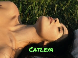 Catleya