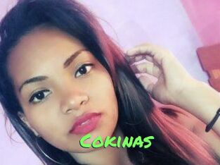 Cokinas