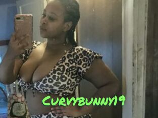 Curvybunny19