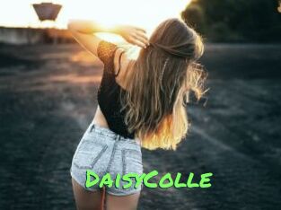 DaisyColle