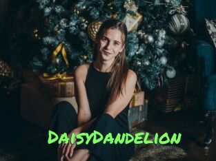 DaisyDandelion