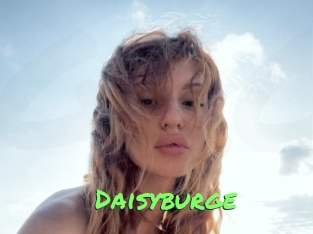 Daisyburge