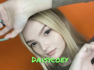 Daisycoey