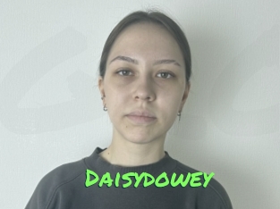 Daisydowey