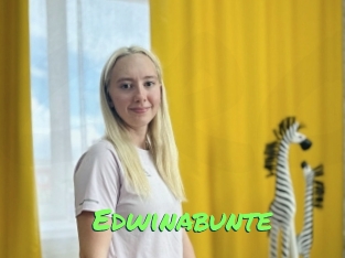 Edwinabunte