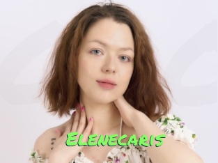 Elenecaris