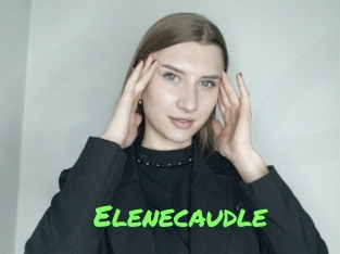 Elenecaudle