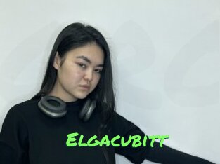 Elgacubitt