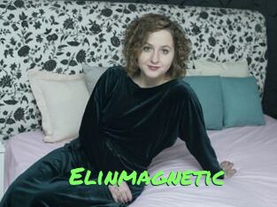 Elinmagnetic