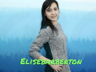 Elisebarberton